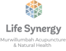 logolifsynergy copy